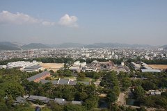 IMG 4225