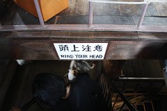IMG 4227