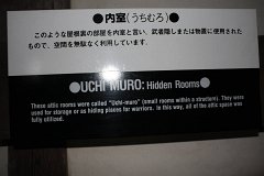 IMG 4229