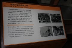 IMG 4235