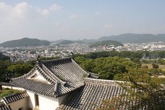 IMG 4237