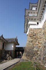 IMG 4246