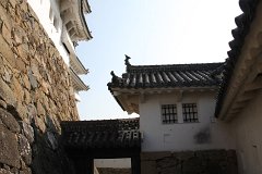IMG 4249