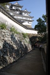 IMG 4253