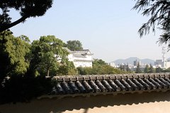 IMG 4255
