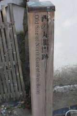 IMG 4256