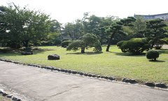 IMG 4257