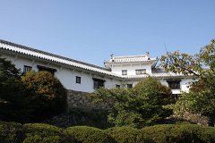 IMG 4258