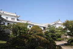 IMG 4259