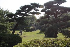 IMG 4260
