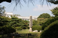 IMG 4261