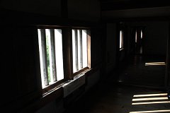IMG 4264