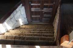 IMG 4268