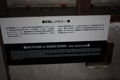 IMG 4281