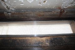 IMG 4282