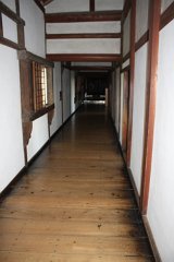 IMG 4286