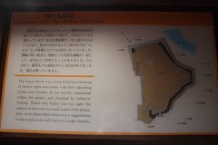 IMG 4291