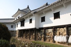 IMG 4298