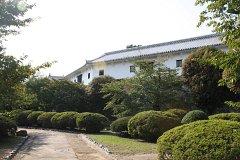 IMG 4299