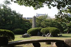 IMG 4300