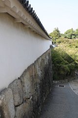 IMG 4305