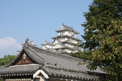IMG 4306