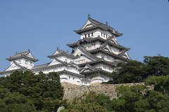 IMG 4308
