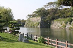IMG 4310