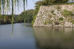 IMG 4311