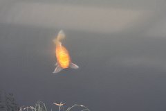 IMG 4312