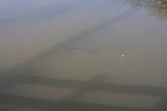 IMG 4316