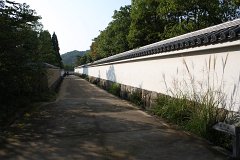 IMG 4318