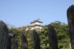 IMG 4319