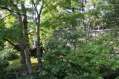 IMG 4321