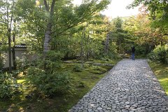 IMG 4322