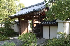 IMG 4323