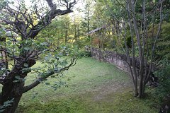 IMG 4329