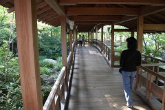 IMG 4331