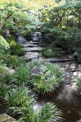 IMG 4333