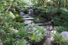 IMG 4334
