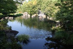 IMG 4335