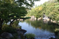 IMG 4336