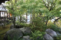 IMG 4337