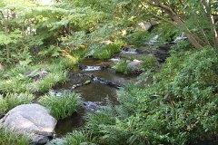 IMG 4338