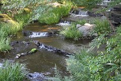 IMG 4339