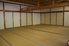 IMG 4341