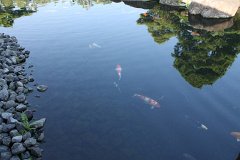IMG 4346