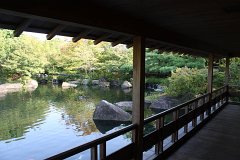 IMG 4350