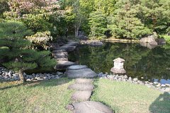 IMG 4353