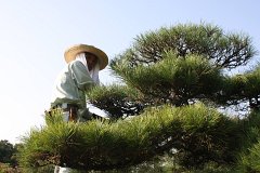 IMG 4365